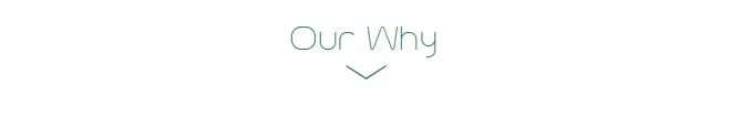 Our Why